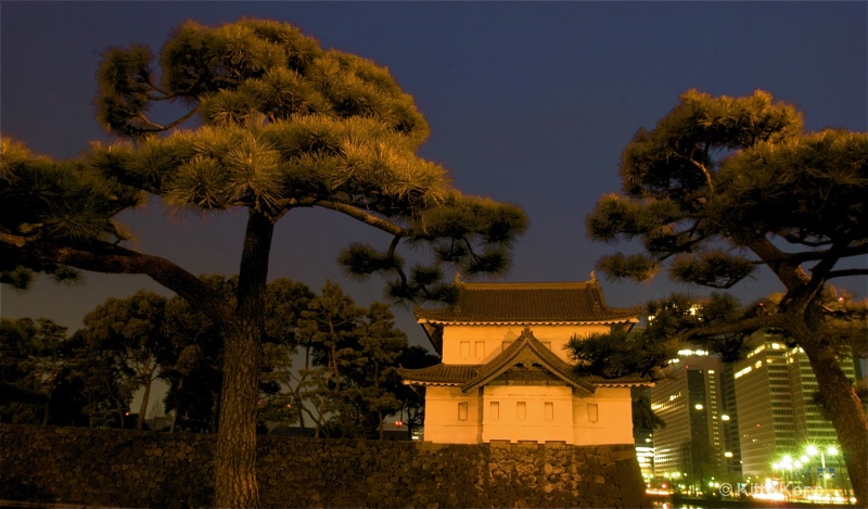 Tokyo - Old and New