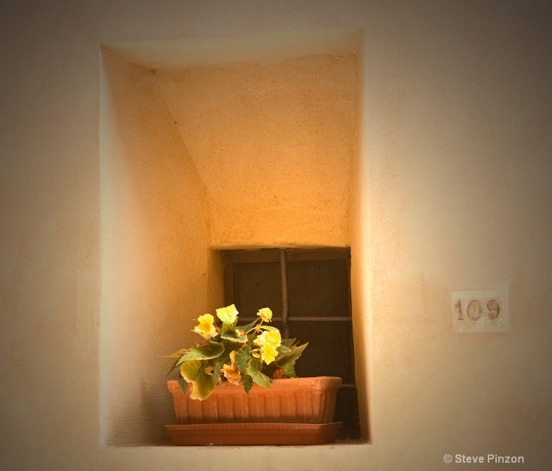Flowerbox in window