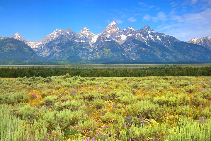 Grand Tetons