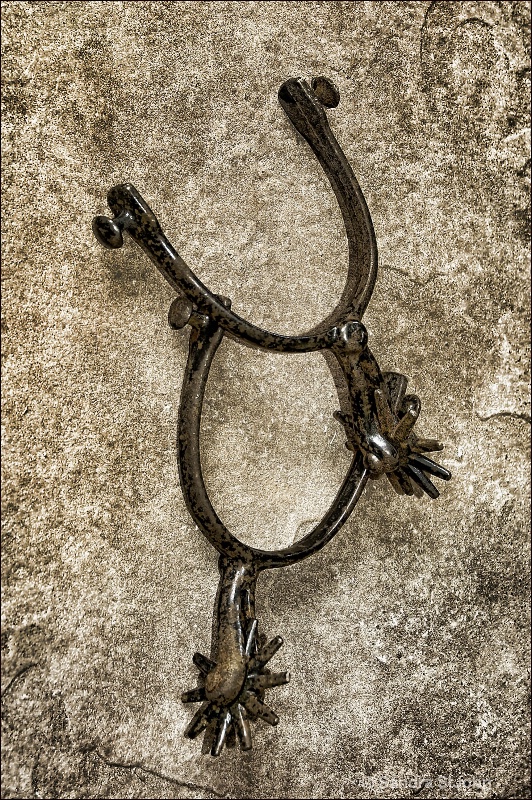 A Pair of Spurs