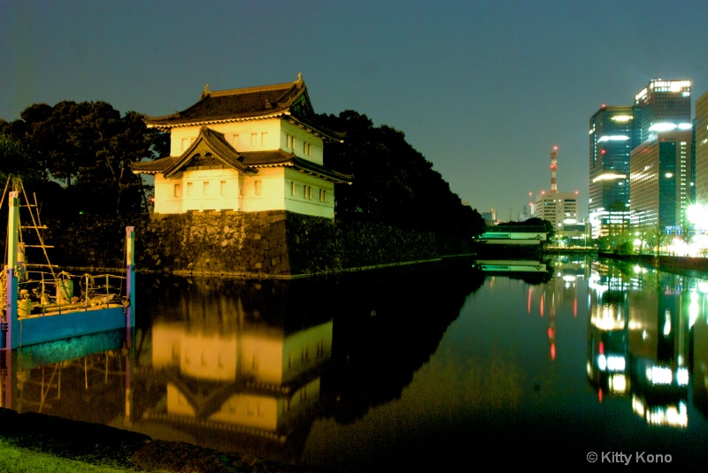 Early Reflections at the Palace Moat