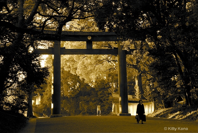 Entering Meiji Shrine