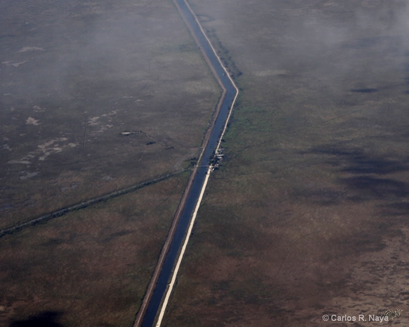 Florida Everglades