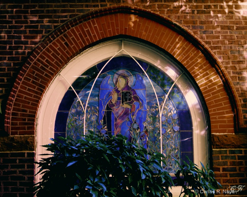 Side Windown of ST.Peters Episcopal Church