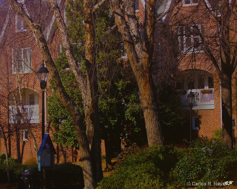 Homes