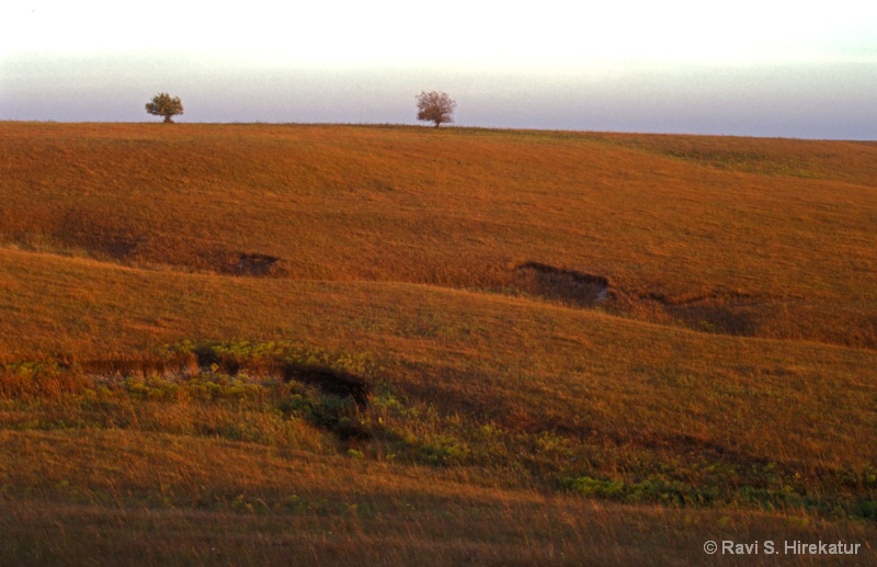 Rolling Hills 