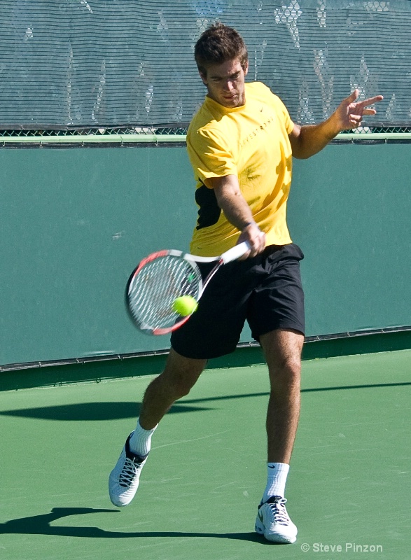 Juan Martin Del Potro