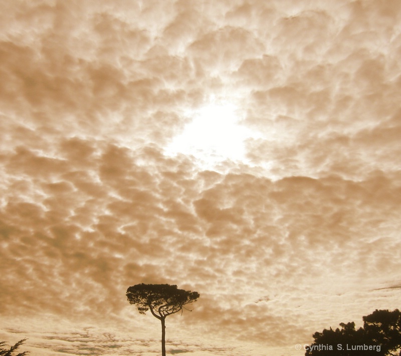 Clouds and Tree