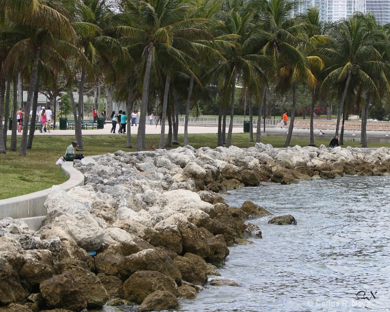 bayside downtown miami