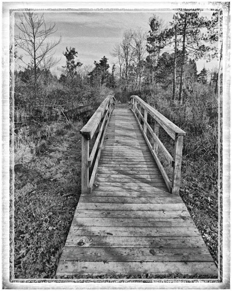 bridge in black and white
