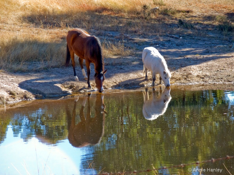 Pampero and Jessie