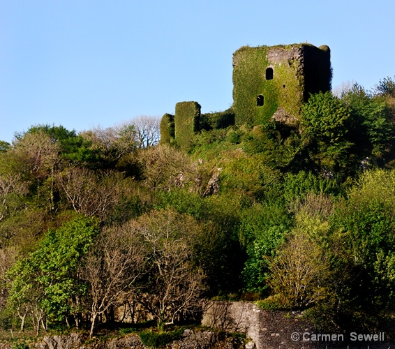 Castle Ruin from Ferry to Isle of Mull