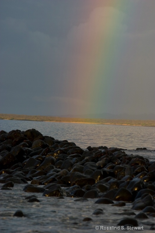 Galapagos Rainbow