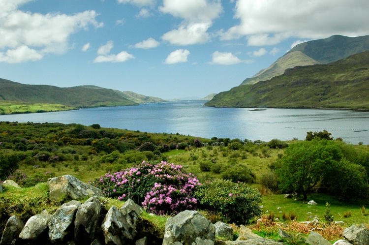Killary Bay  Connemara Galway