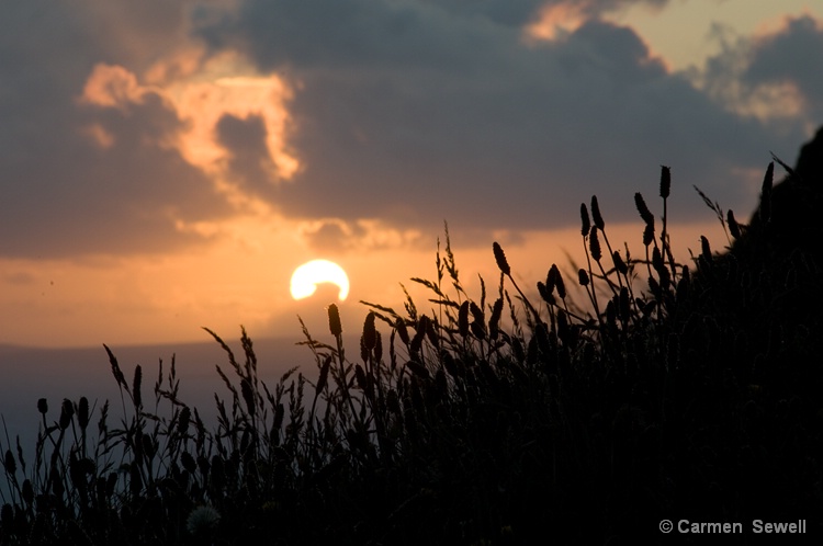 Sunset Cliffs of Moher
