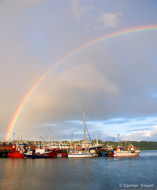 Rainbow over the Harbour