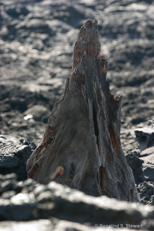 Lava