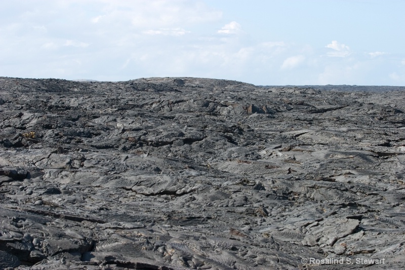 Lava Field