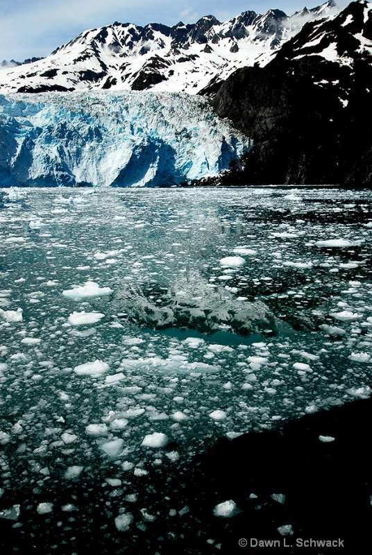Ice Floe at the Glacier