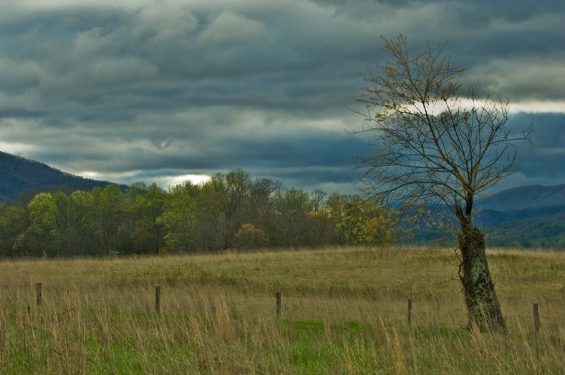 Cade's Cove Morning