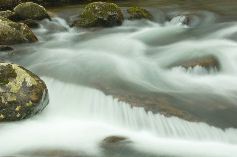 Little River Run