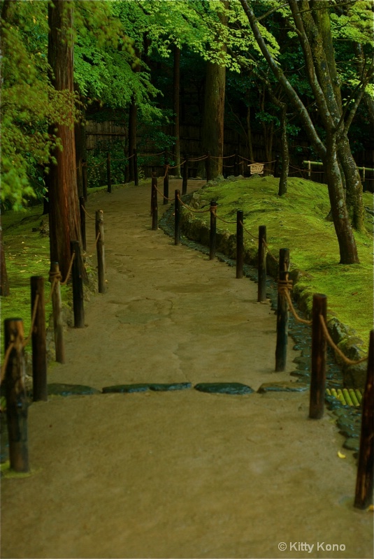 Moss Garden in Kyoto
