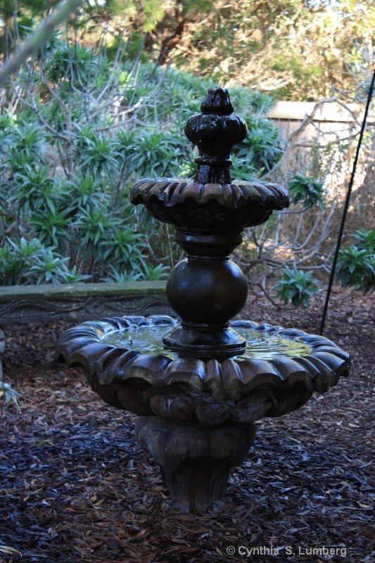 Front Yard Fountain