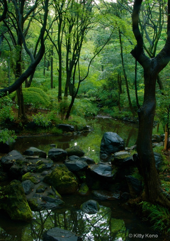 Stream at Arisugawa