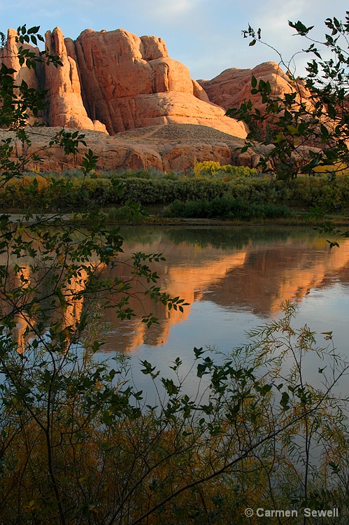 Red Rock Reflection
