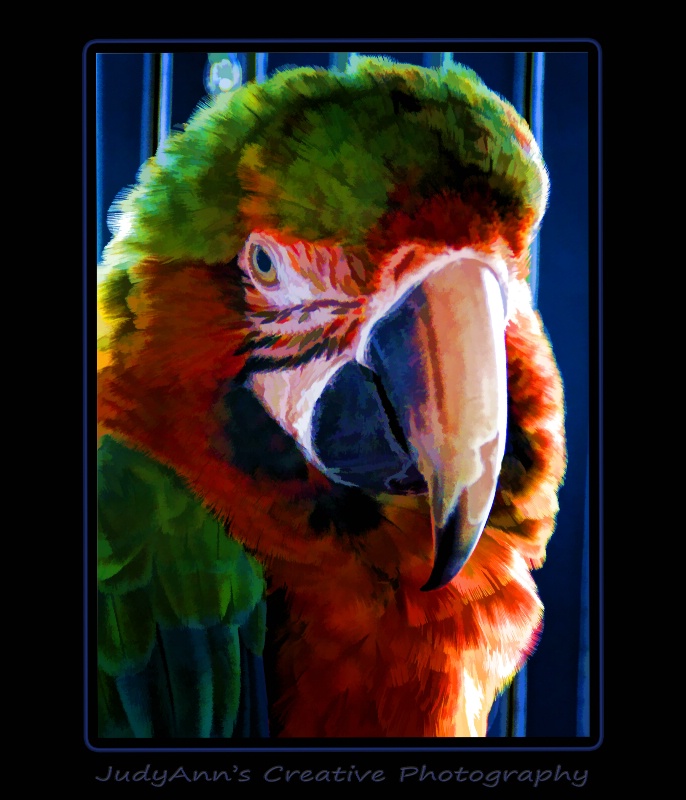 Polly Wanna Cracker?