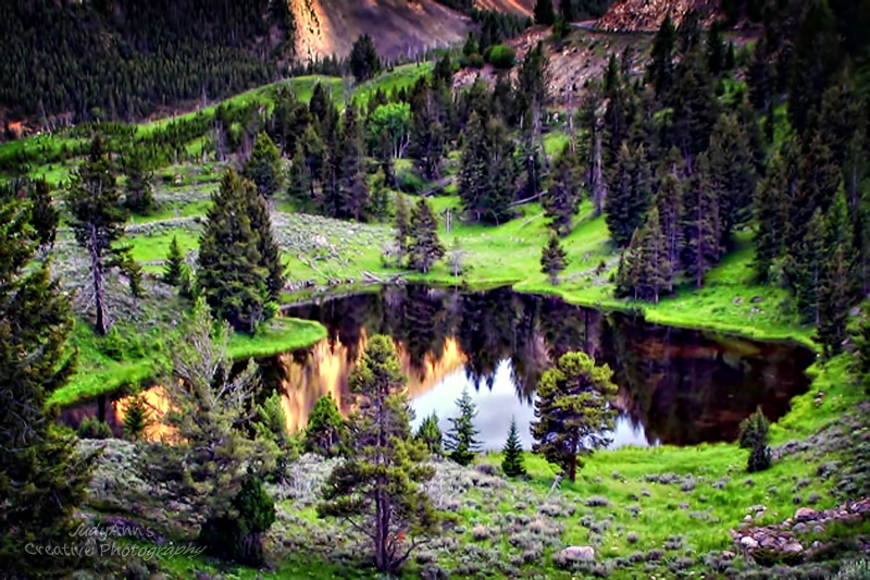 Wyoming Wonder 