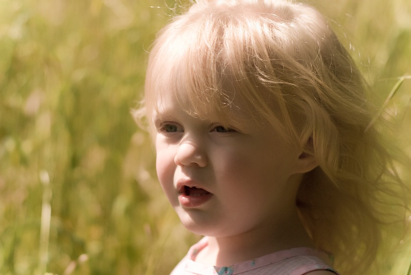 Marissa ~ In Search of Flowers For Mommy