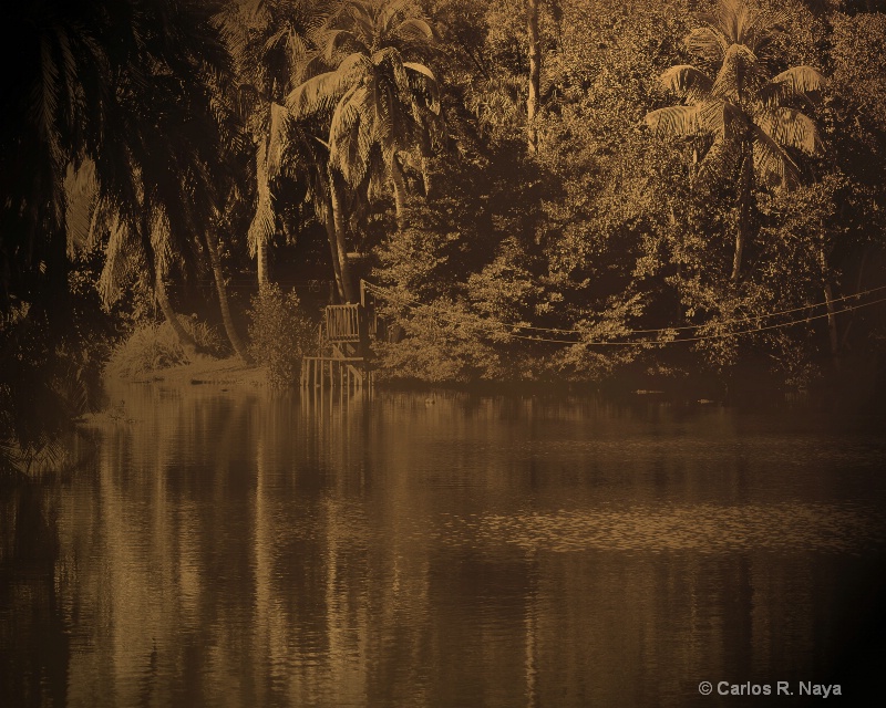 At Naples Zoo 