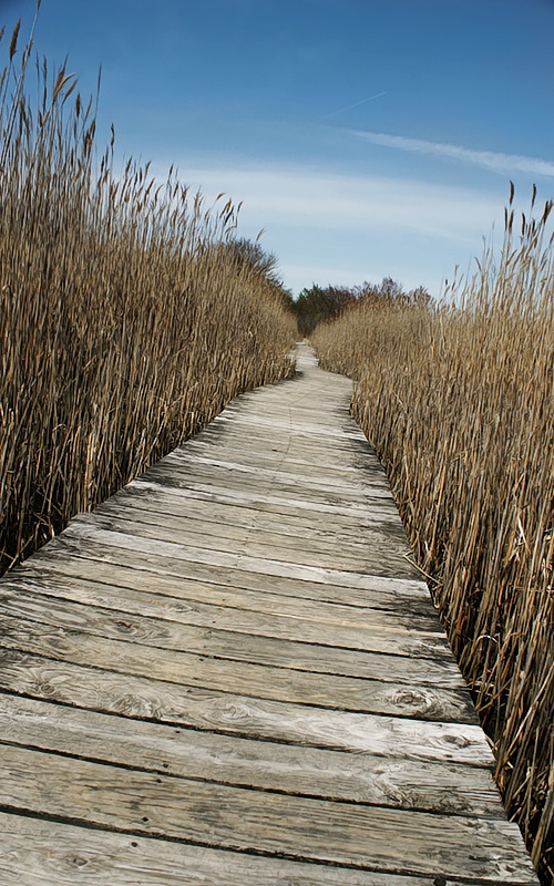 Vanishing Point