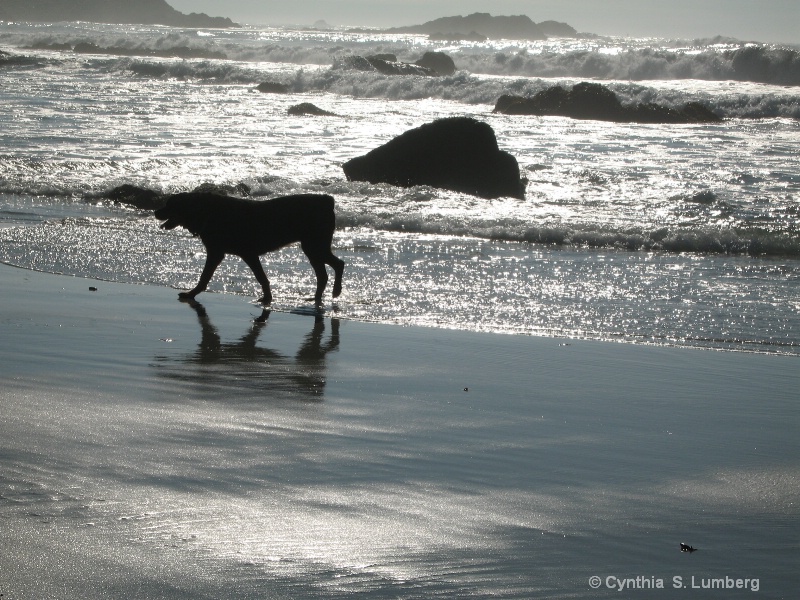 Reflection of Cleo. . .