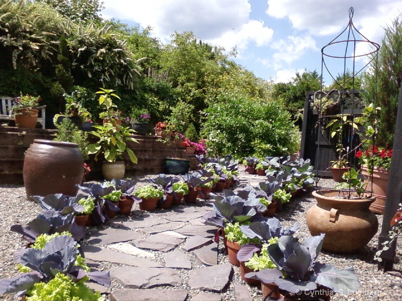 Walkway in the Garden at St. Andrews