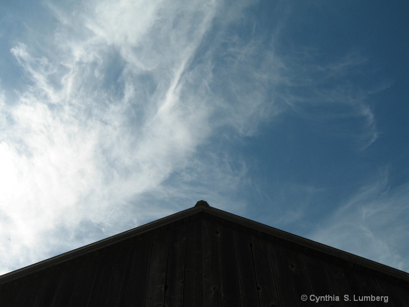 Farmland Sky