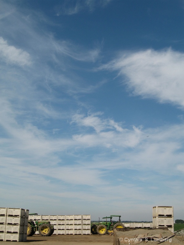 Farmland Sky 3