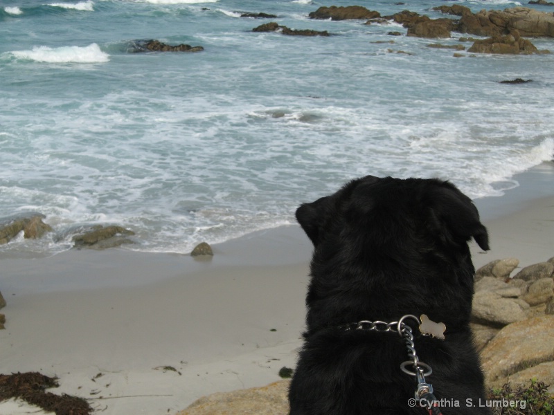 Mom, I sure love the beach!