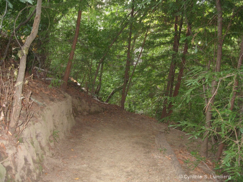 The wooded Trail