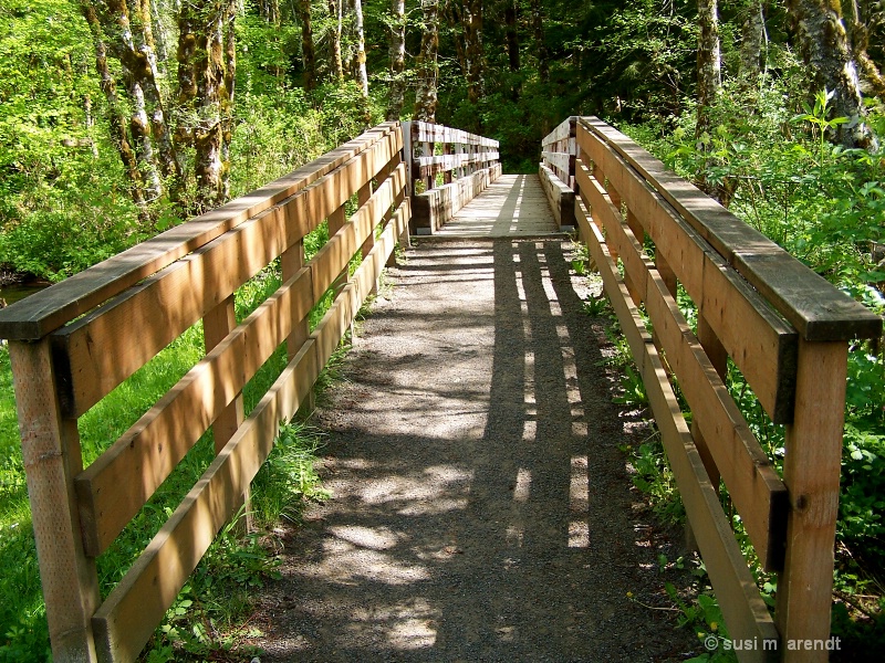 Bridge at Steam Donkey Trail