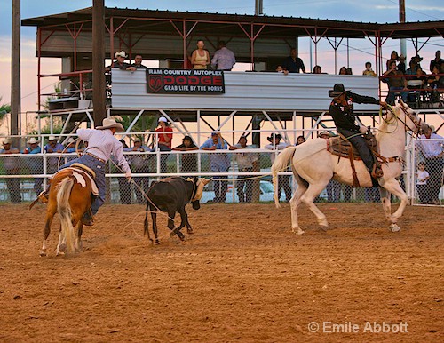 Grab life by the horns