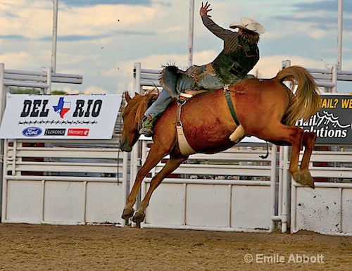 Bucking Bronco