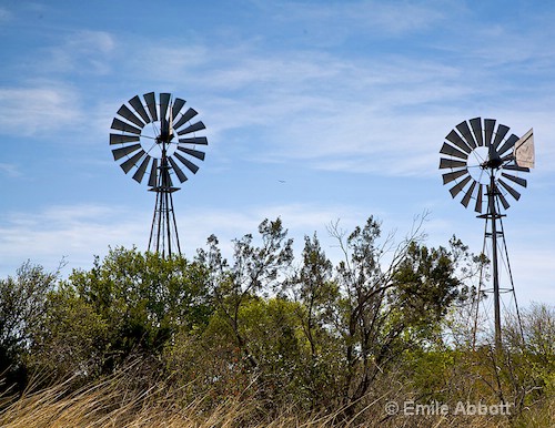 Wind swept grass and dos Windmills