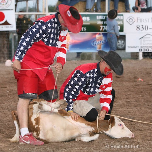 Rodeo Clowns check roped calf