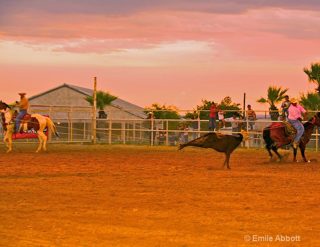 Team Roping at twilight