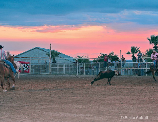 Twilight at the Rodeo Team Roping