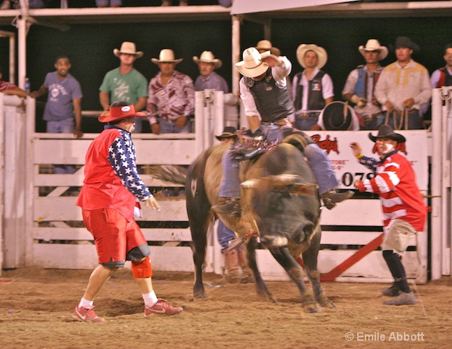 2008 Rodeo Bull Ride