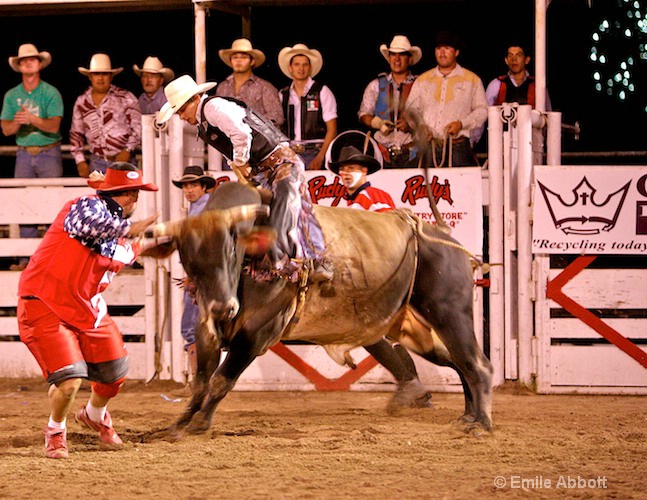 Rodeo Bullfighter/Clown ready to help