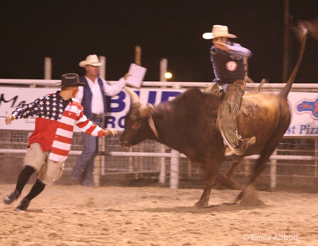 2008 Rodeo Bullride